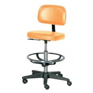 Practitioner Chair - with Foot Ring